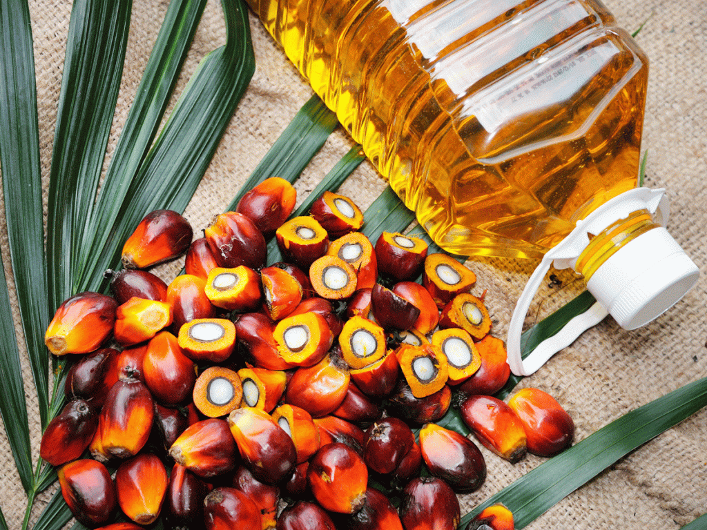 palm oil getty 1024x768 - The Goodness in Palm Oil