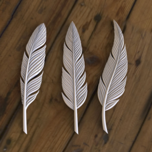 image 2 300x300 - The Innovative World of 3D Printed Feathers